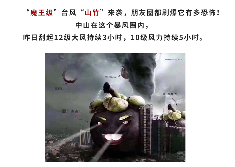 灞辩鍙伴娓呯悊鎶ュ埌-2_01.jpg
